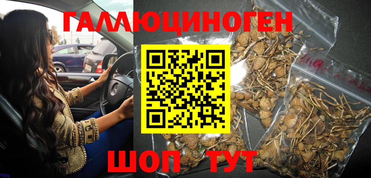 Пенза  Галлюциногенные грибы Cubensis  Вход с VPN  Псилоцибиновые грибы Psilocybe 